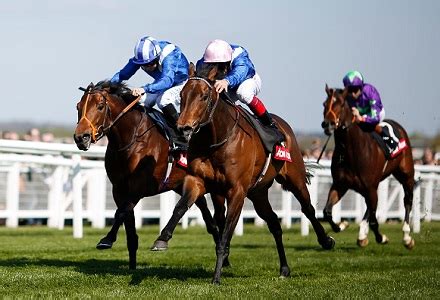 horse oddschecker|horse racing odds today.